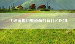 代理销售和渠道商务有什么区别