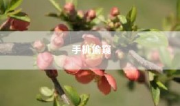 手机偷窥