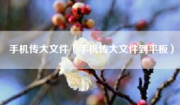 手机传大文件（手机传大文件到平板）
