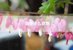 置业什么意思