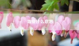 置业什么意思