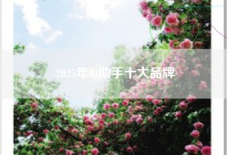 2025年AI助手十大品牌