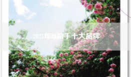 2025年AI助手十大品牌