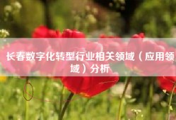 长春数字化转型行业相关领域（应用领域）分析