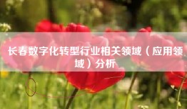长春数字化转型行业相关领域（应用领域）分析