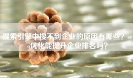搜索引擎中搜不到企业的原因有哪些？seo优化能提升企业排名吗？