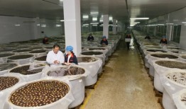 济宁市文化和旅游局 工作动态 全省第一！我市4个案例入选全省典型！