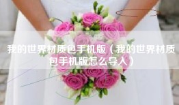我的世界材质包手机版（我的世界材质包手机版怎么导入）