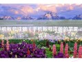 手机帐号注册（手机帐号注册的苹果id格式）
