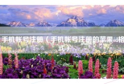 手机帐号注册（手机帐号注册的苹果id格式）