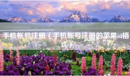 手机帐号注册（手机帐号注册的苹果id格式）
