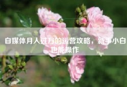 自媒体月入过万的运营攻略，新手小白也能操作