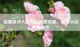 自媒体月入过万的运营攻略，新手小白也能操作