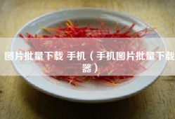图片批量下载 手机（手机图片批量下载器）