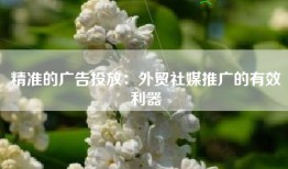 精准的广告投放：外贸社媒推广的有效利器
