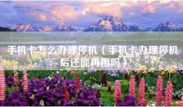 手机卡怎么办理停机（手机卡办理停机后还能再用吗）