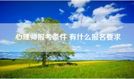 心理师报考条件 有什么报名要求