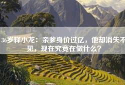 36岁释小龙：亲爹身价过亿，他却消失不见，现在究竟在做什么？
