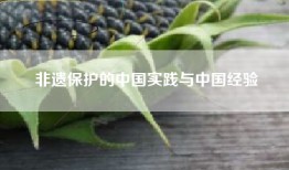 非遗保护的中国实践与中国经验