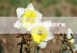 论非遗传承的问题域的扩展