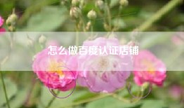 怎么做百度认证店铺