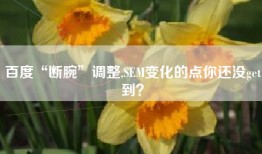 百度“断腕”调整,SEM变化的点你还没get到？