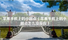 苹果手机上的小圆点（苹果手机上的小圆点怎么没反应）