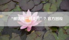 “微信碰一碰支付”？官方回应