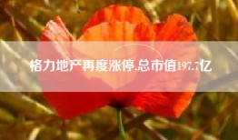格力地产再度涨停,总市值197.7亿