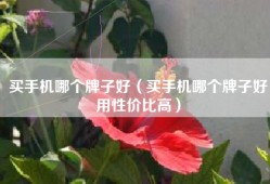 买手机哪个牌子好（买手机哪个牌子好用性价比高）