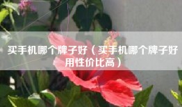 买手机哪个牌子好（买手机哪个牌子好用性价比高）