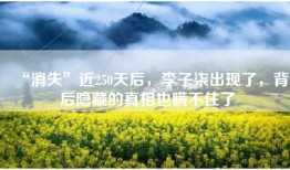 “消失”近250天后，李子柒出现了，背后隐藏的真相也瞒不住了