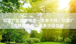 百度广告推广费用一年多少钱，百度广告推广费用一年多少钱合适