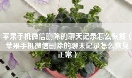 苹果手机微信删除的聊天记录怎么恢复（苹果手机微信删除的聊天记录怎么恢复正常）
