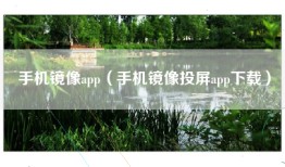 手机镜像app（手机镜像投屏app下载）