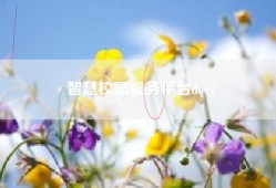 智慧校园服务平台docx