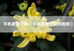手机截图下载（手机截图下载到相册）