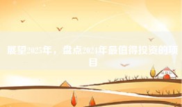 展望2025年，盘点2024年最值得投资的项目