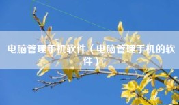 电脑管理手机软件（电脑管理手机的软件）