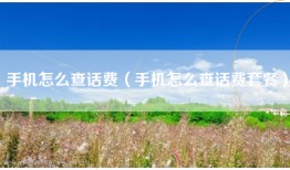 手机怎么查话费（手机怎么查话费套餐）