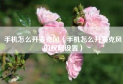 手机怎么开麦克风（手机怎么开麦克风的权限设置）