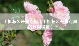 手机怎么开麦克风（手机怎么开麦克风的权限设置）