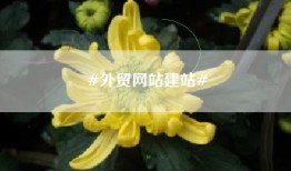 #外贸网站建站#