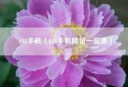 618手机（618手机降价一览表）