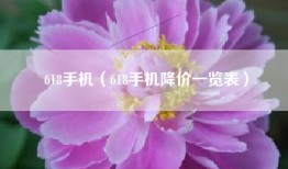 618手机（618手机降价一览表）