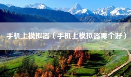 手机上模拟器（手机上模拟器哪个好）