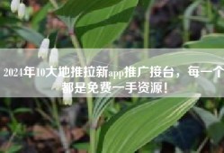 2024年10大地推拉新app推广接台，每一个都是免费一手资源！