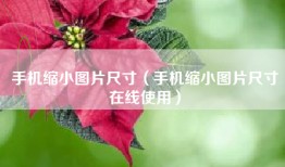 手机缩小图片尺寸（手机缩小图片尺寸在线使用）