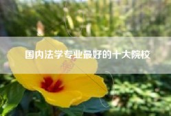 国内法学专业最好的十大院校