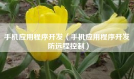 手机应用程序开发（手机应用程序开发 防远程控制）